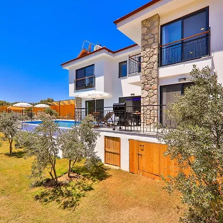 Villa Delfin Green *