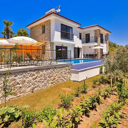 Villa Delfin Green