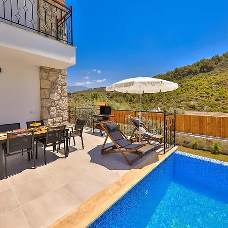 Delfin Green Villa *