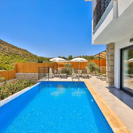 Delfin Green Villa